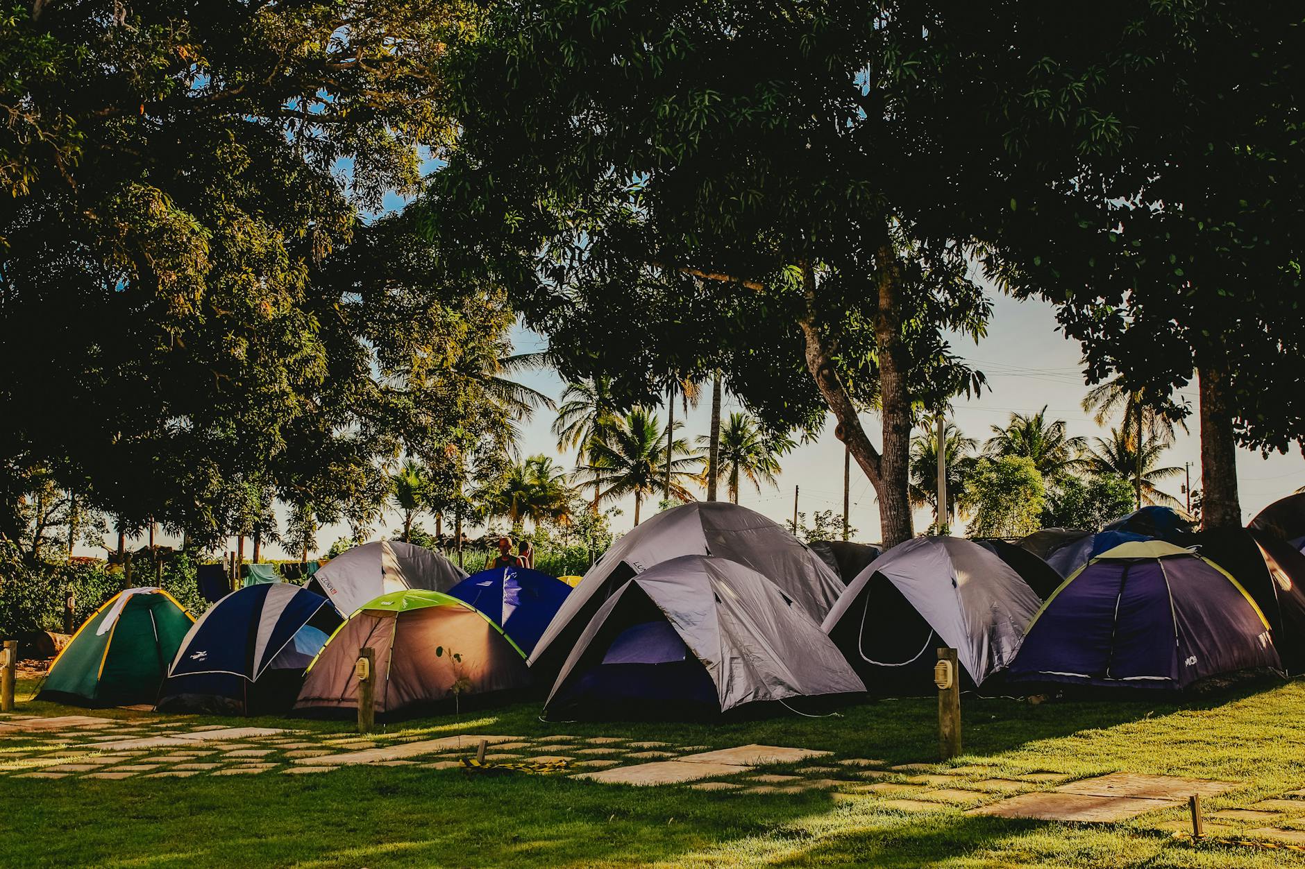 Peaceful campsite featuring multiple tents set up under lush, tall trees during a sunny day.